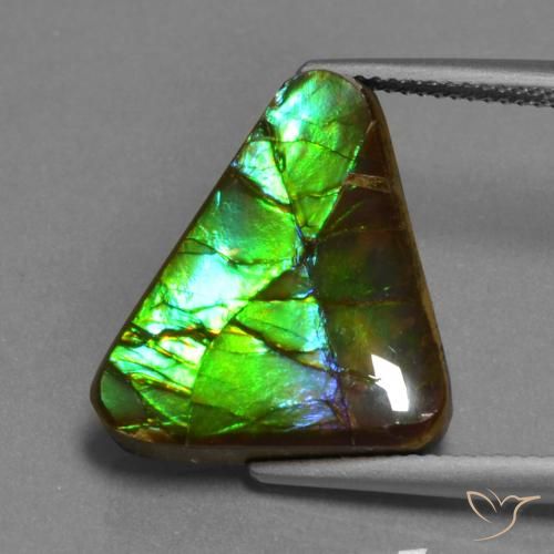 11.30ct Натуральный Многоцветный Аммолит, Триллион, Непрозрачный