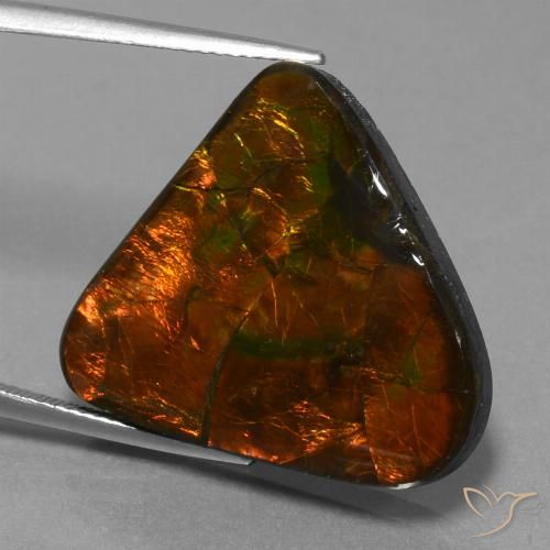22.44ct Натуральный Многоцветный Аммолит, Триллион, Непрозрачный