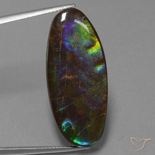 22.01ct Натуральный Многоцветный Аммолит, Овал, Непрозрачный