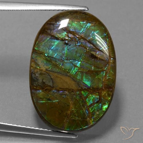 18.60ct Натуральный Многоцветный Аммолит, Овал, Непрозрачный