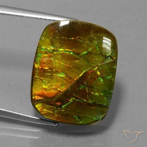 14.83ct Натуральный Многоцветный Аммолит, Подушка, Непрозрачный
