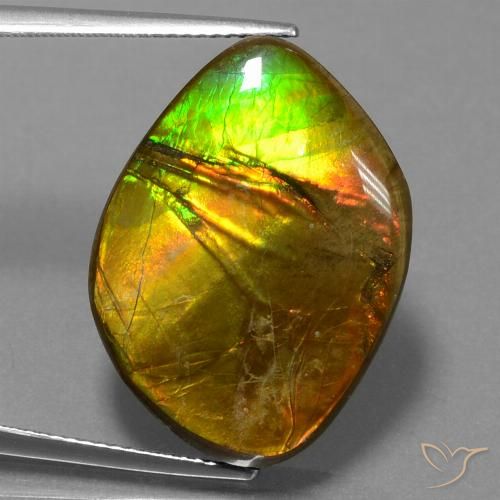 16.27ct Натуральный Многоцветный Аммолит, причудливая, Непрозрачный