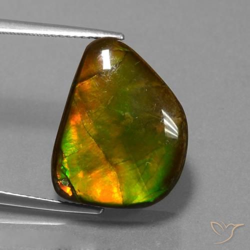 13.25ct Натуральный Многоцветный Аммолит, причудливая, Непрозрачный