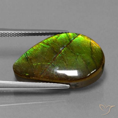 13.12ct Натуральный Многоцветный Аммолит, причудливая, Непрозрачный