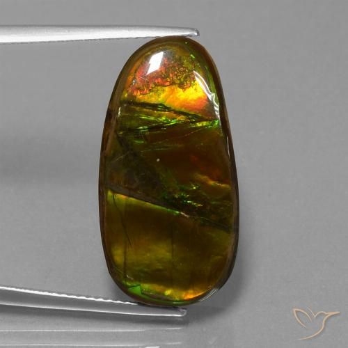 15.26ct Натуральный Многоцветный Аммолит, причудливая, Непрозрачный