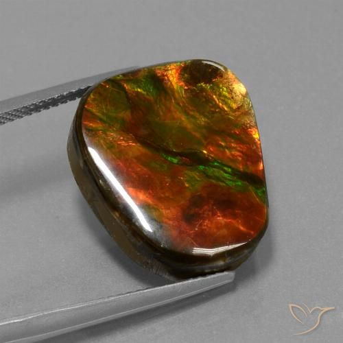14.52ct Натуральный Многоцветный Аммолит, причудливая, Непрозрачный