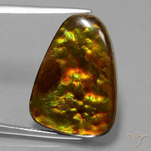 15.67ct Натуральный Многоцветный Аммолит, Триллион, Непрозрачный
