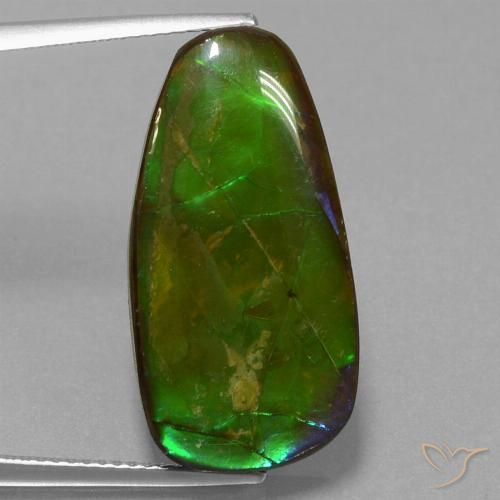 13.82ct Натуральный Многоцветный Аммолит, причудливая, Непрозрачный