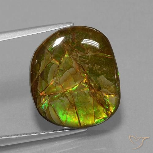 13.05ct Натуральный Многоцветный Аммолит, причудливая, Непрозрачный