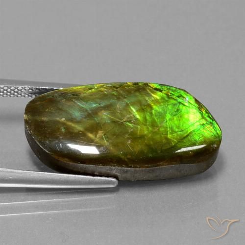 11.74ct Натуральный Многоцветный Аммолит, причудливая, Непрозрачный