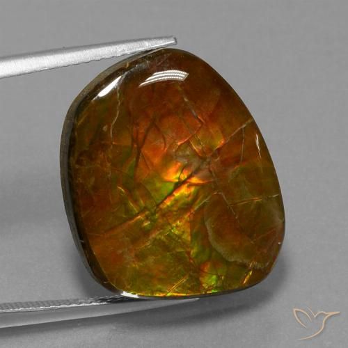 16.13ct Натуральный Многоцветный Аммолит, причудливая, Непрозрачный