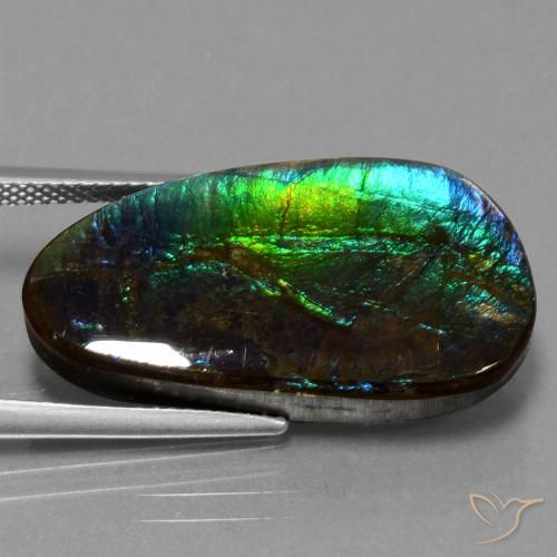 16.95ct Натуральный Многоцветный Аммолит, причудливая, Непрозрачный