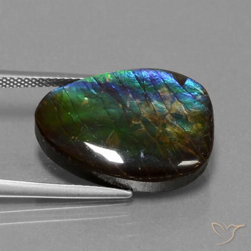 14.77ct Натуральный Многоцветный Аммолит, причудливая, Непрозрачный