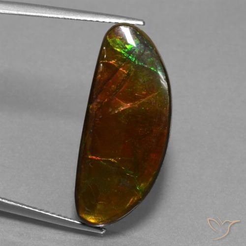 14.62ct Натуральный Многоцветный Аммолит, причудливая, Непрозрачный
