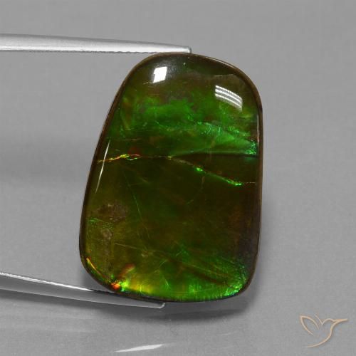 23.19ct Натуральный Многоцветный Аммолит, причудливая, Непрозрачный