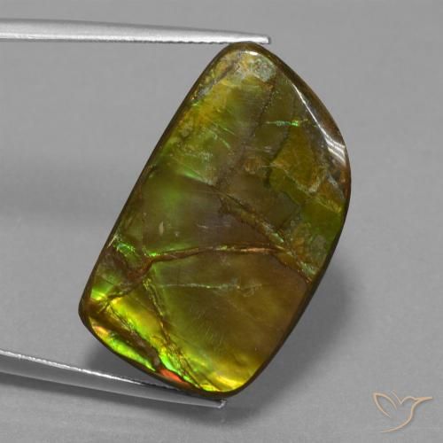 21.06ct Натуральный Многоцветный Аммолит, причудливая, Непрозрачный