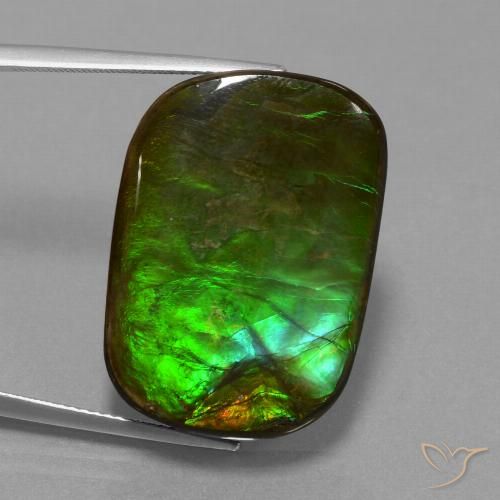 21.97ct Натуральный Многоцветный Аммолит, Подушка, Непрозрачный