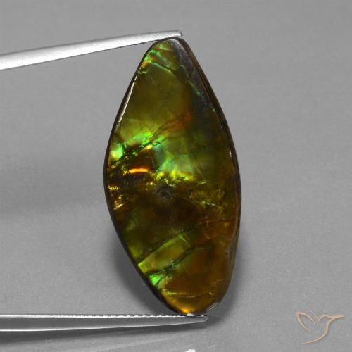 19.04ct Натуральный Многоцветный Аммолит, причудливая, Непрозрачный