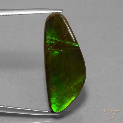 10.78ct Натуральный Многоцветный Аммолит, причудливая, Непрозрачный