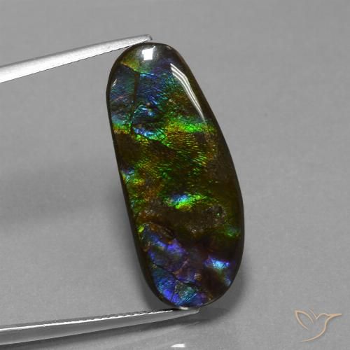 16.37ct Натуральный Многоцветный Аммолит, причудливая, Непрозрачный