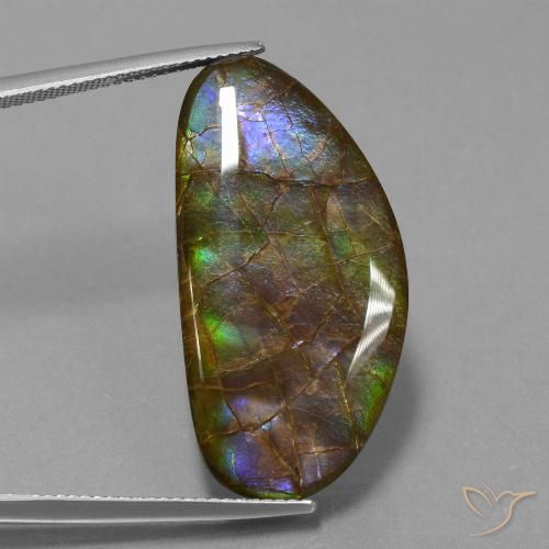 26.24ct Натуральный Многоцветный Аммолит, причудливая, Непрозрачный