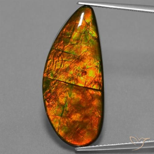 18.94ct Натуральный Многоцветный Аммолит, причудливая, Непрозрачный