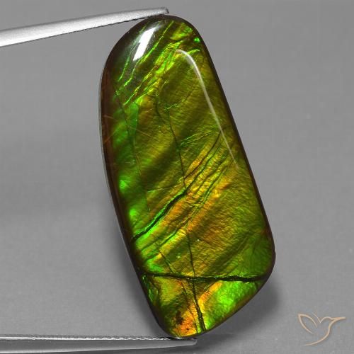 25.90ct Натуральный Многоцветный Аммолит, причудливая, Непрозрачный