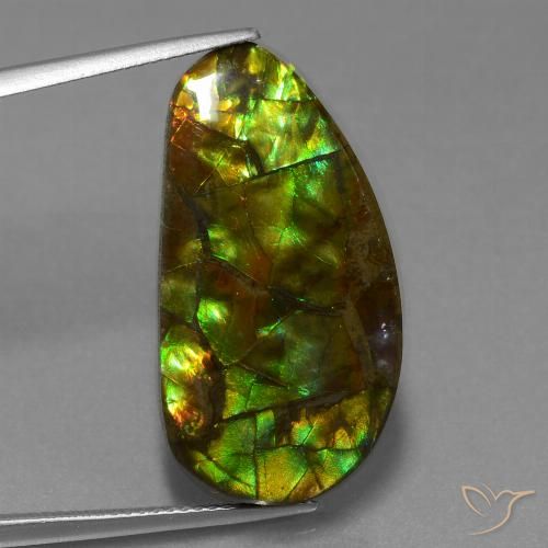 18.96ct Натуральный Многоцветный Аммолит, причудливая, Непрозрачный