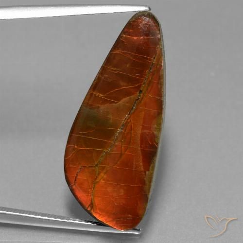 13.94ct Натуральный Многоцветный Аммолит, причудливая, Непрозрачный