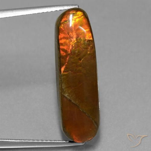 10.96ct Натуральный Многоцветный Аммолит, причудливая, Непрозрачный