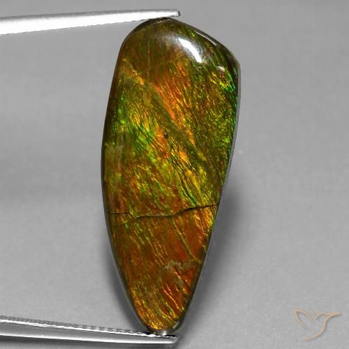 18.13ct Натуральный Многоцветный Аммолит, причудливая, Непрозрачный
