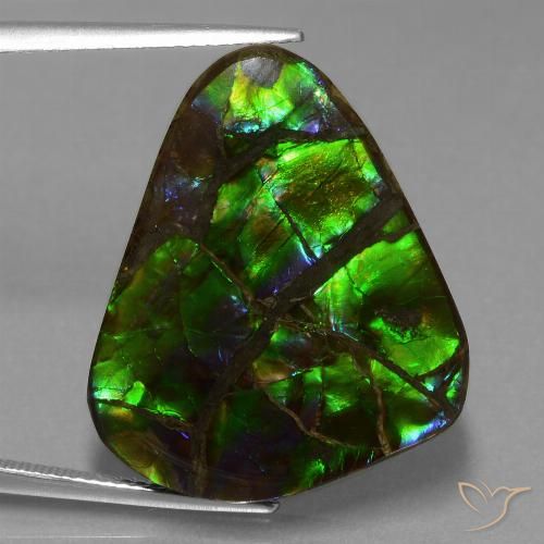 21.05ct Натуральный Многоцветный Аммолит, Триллион, Непрозрачный