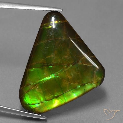 21.83ct Натуральный Многоцветный Аммолит, Триллион, Непрозрачный