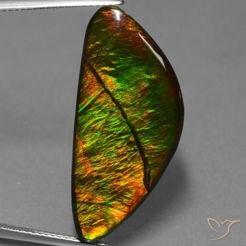19.31ct Натуральный Многоцветный Аммолит, причудливая, Непрозрачный
