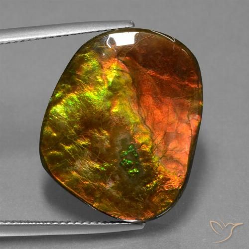 20.65ct Натуральный Многоцветный Аммолит, причудливая, Непрозрачный
