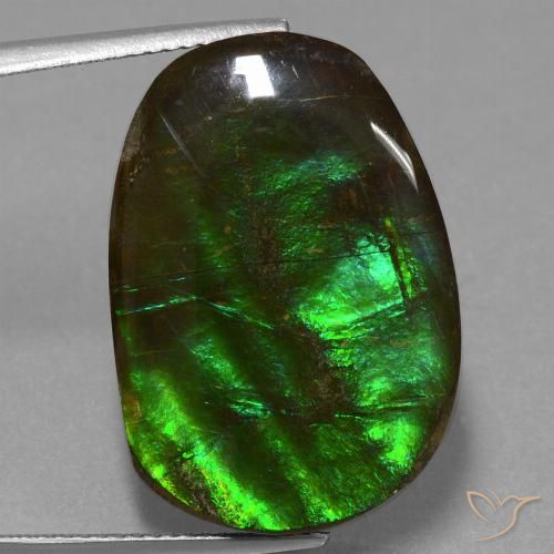 16.23ct Натуральный Многоцветный Аммолит, причудливая, Непрозрачный