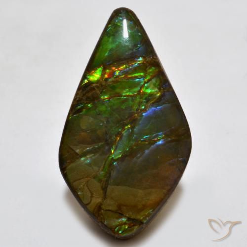 18.15ct Натуральный Многоцветный Аммолит, причудливая, Непрозрачный