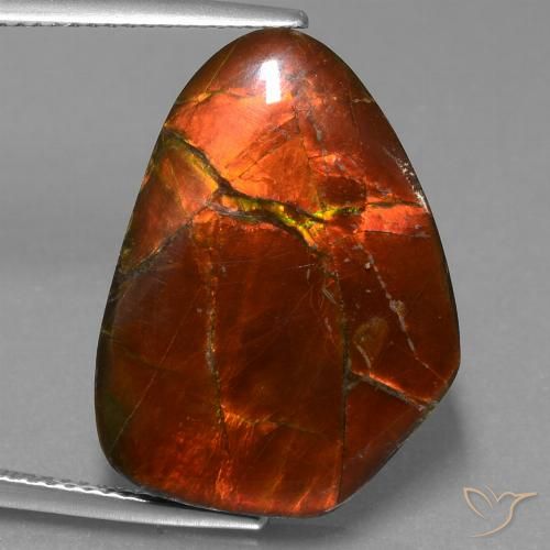 15.20ct Натуральный Многоцветный Аммолит, причудливая, Непрозрачный