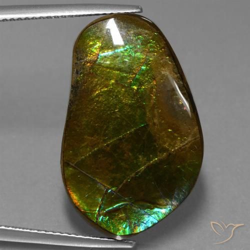 17.83ct Натуральный Многоцветный Аммолит, причудливая, Непрозрачный