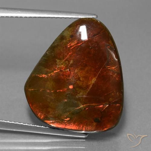 16.97ct Натуральный Многоцветный Аммолит, причудливая, Непрозрачный