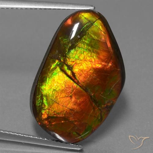 18.18ct Натуральный Многоцветный Аммолит, причудливая, Непрозрачный