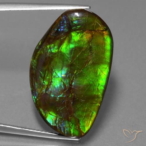 19.80ct Натуральный Многоцветный Аммолит, причудливая, Непрозрачный