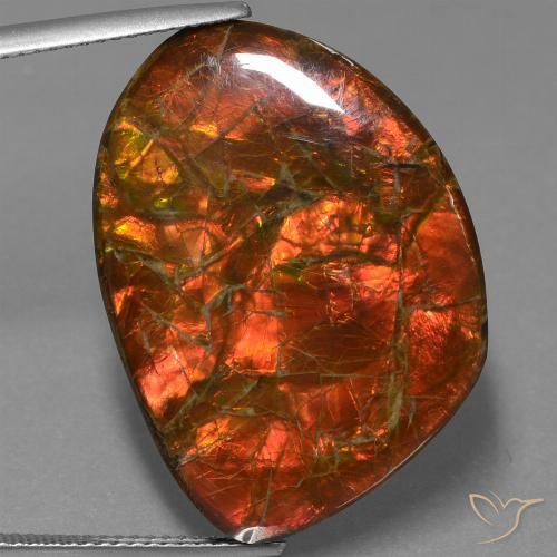 25.32ct Натуральный Многоцветный Аммолит, причудливая, Непрозрачный