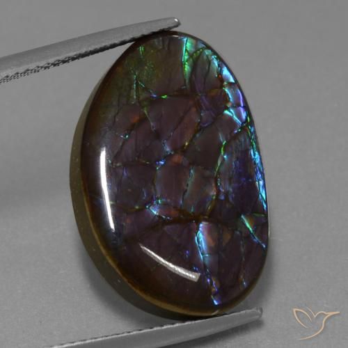 14.02ct Натуральный Многоцветный Аммолит, причудливая, Непрозрачный