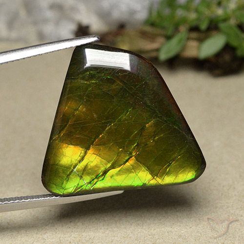 18.57ct Натуральный Многоцветный Аммолит, причудливая, Непрозрачный