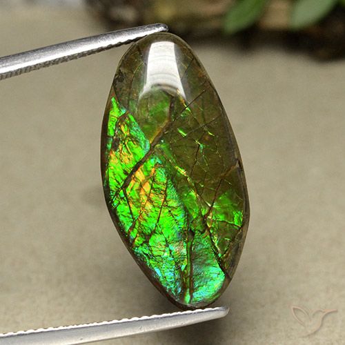 12.62ct Натуральный Многоцветный Аммолит, причудливая, Непрозрачный