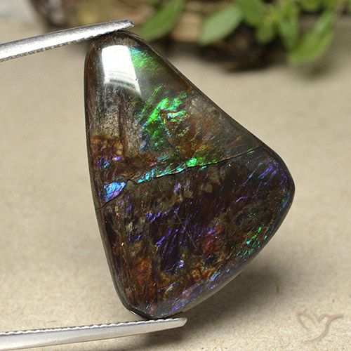 21.94ct Натуральный Многоцветный Аммолит, причудливая, Непрозрачный