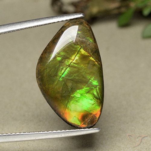 11.44ct Натуральный Многоцветный Аммолит, причудливая, Непрозрачный