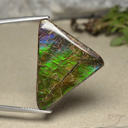 20.55ct Натуральный Многоцветный Аммолит, Триллион, Непрозрачный
