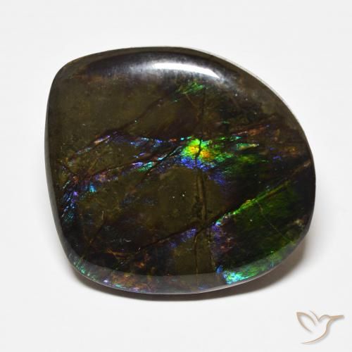 22.71ct Натуральный Многоцветный Аммолит, причудливая, Непрозрачный